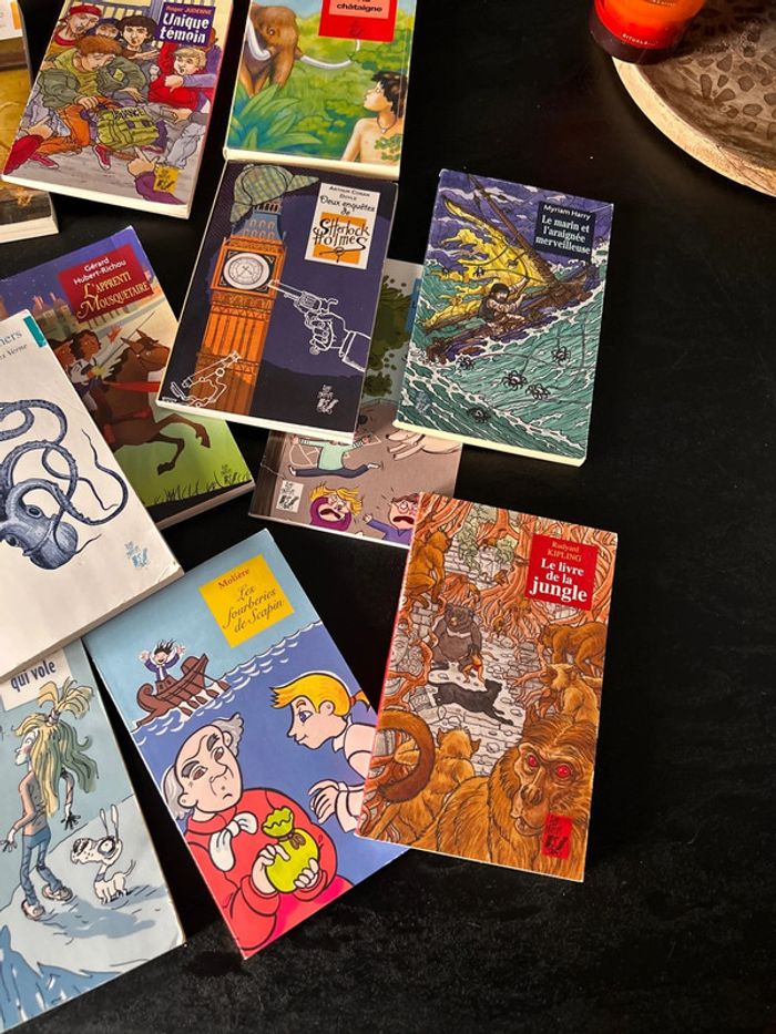 Lot de livres - photo numéro 6