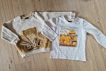 Ensemble Le livre de la savane