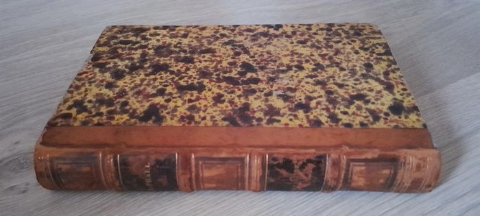 Raphaël de la vingtième année A. Lamantine édition 1857 - photo numéro 8