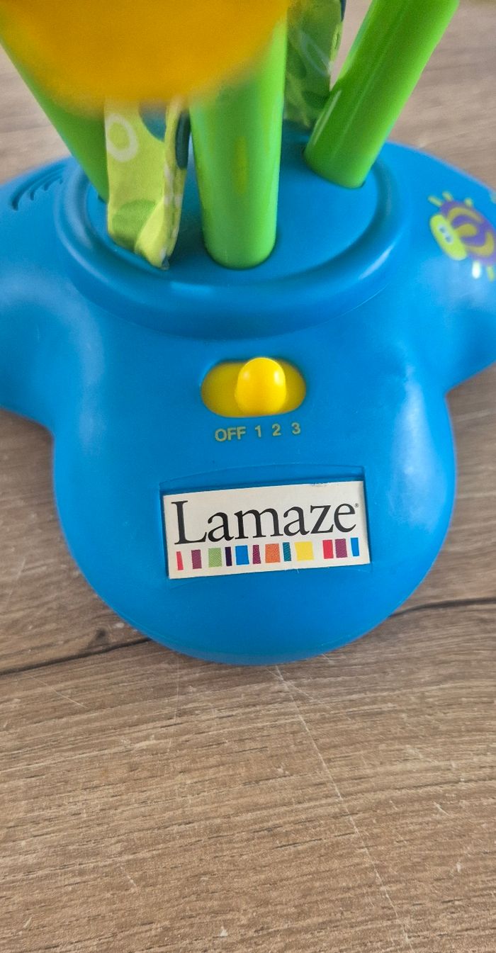 Bouquet de fleurs musical et lumineux - photo numéro 9