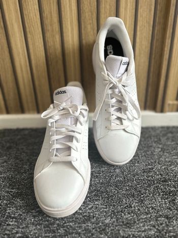 Adidas Advantage blanches  Homme