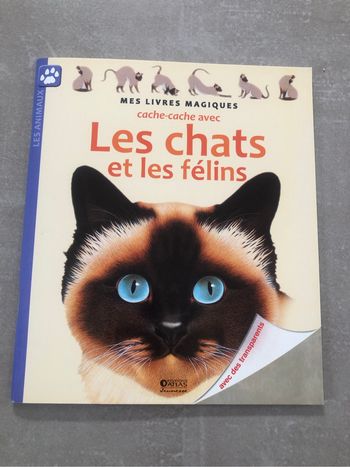 Livre magique neuf