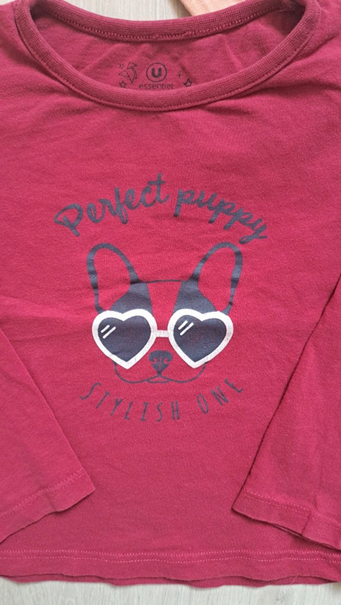 Lot 2 tee-shirts manches longues - photo numéro 2