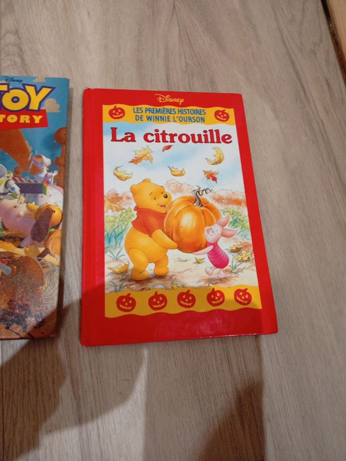 Lot de 3 livres Disney - photo numéro 2