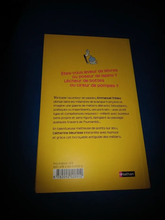 Livre l'enfonceur de porte ouvertes - photo numéro 2