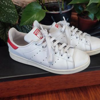 Stan 37,5