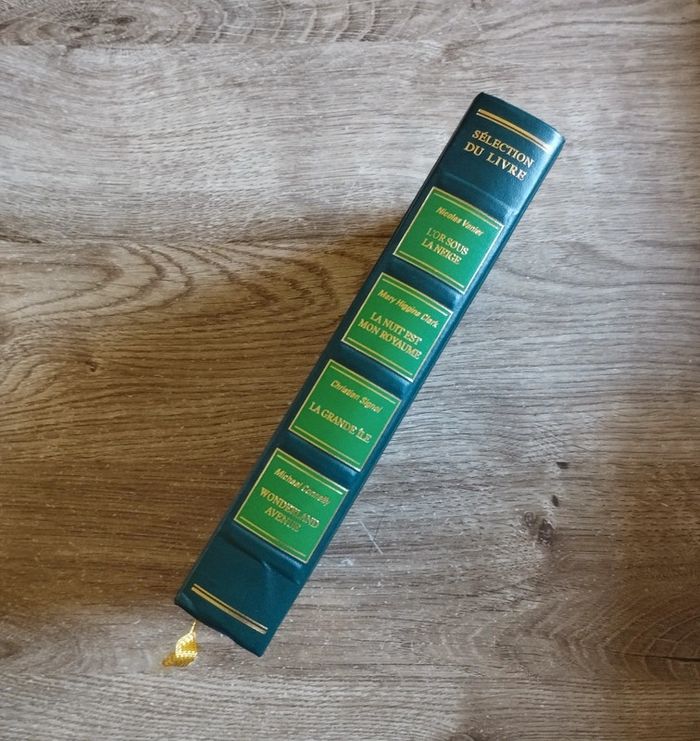 📚 Livre L'or sous la neige/La nuit est mon royaume/La grande île/Wanderland avenue #emyfleury_livres - photo numéro 3