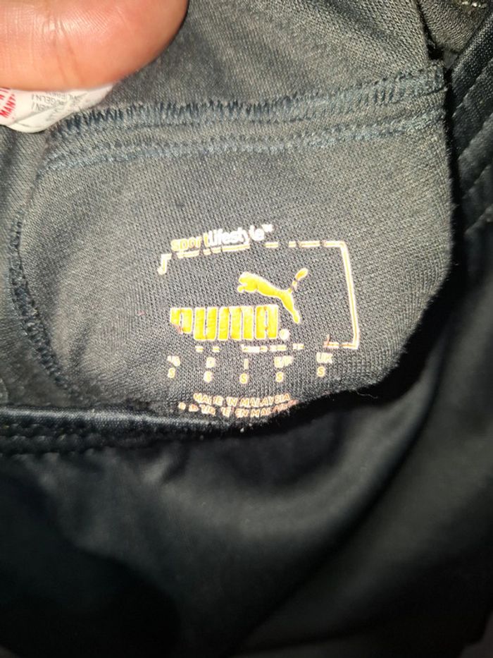Puma S - photo numéro 7
