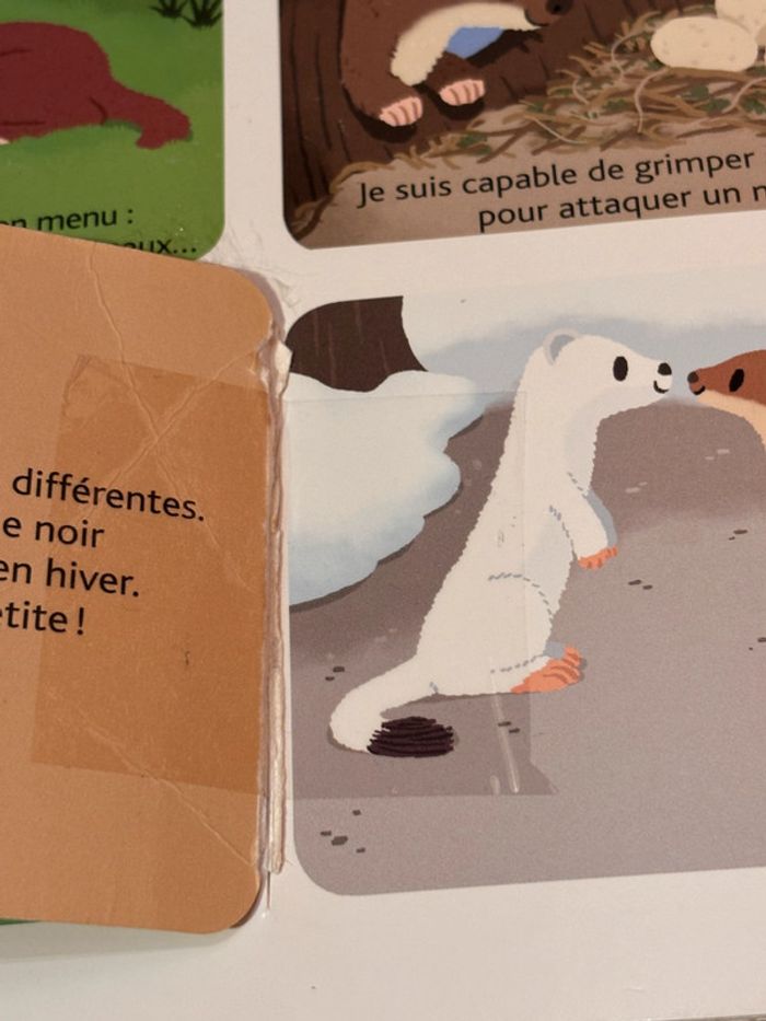 livre - photo numéro 5