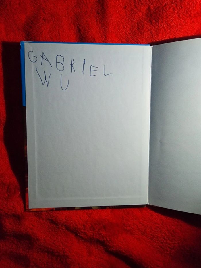 Livre face à l'ours - photo numéro 3