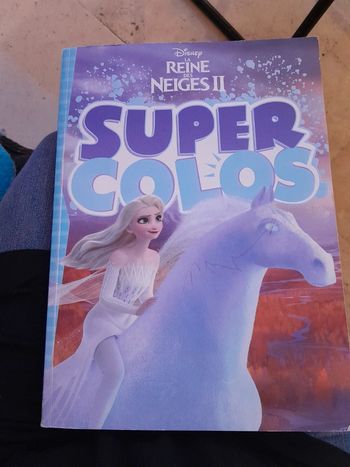Livre de coloriage reine des neiges