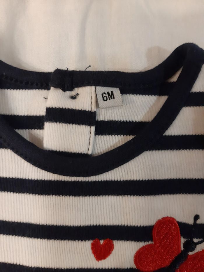 Robe rayée chat - photo numéro 3