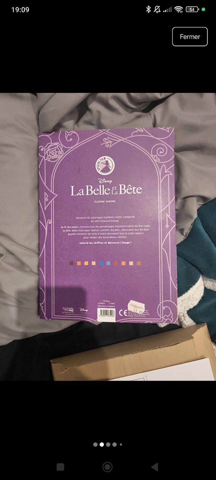 Livre de coloriage mystère la belle et la bête - photo numéro 7