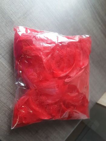 Lot de  180 plumes rouge pour activités créatives 