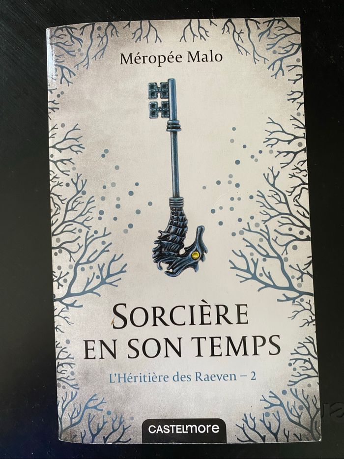 Saga l’héritière des Ravens - photo numéro 4