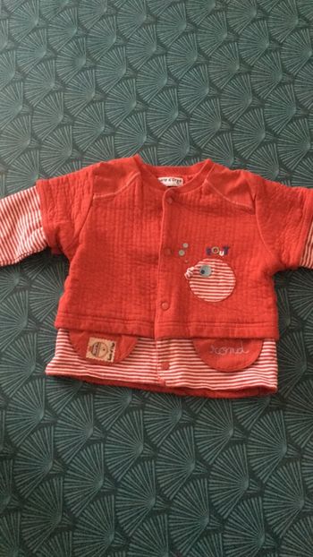 Gilet sucre d’orge