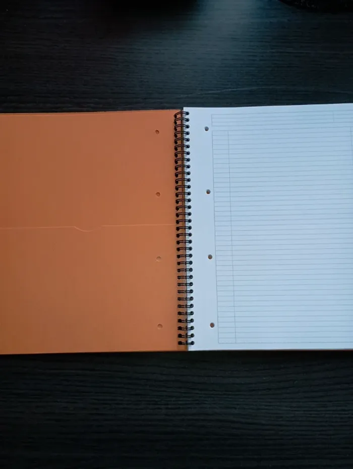Cahier 160 pages A4 lignées - photo numéro 4