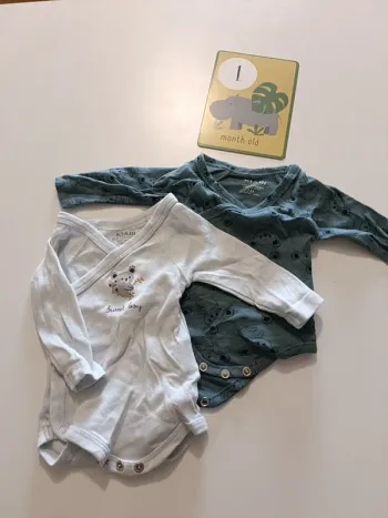Lot 2 bodies