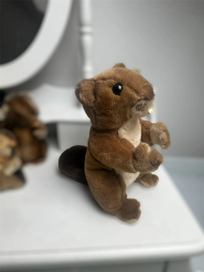 Grand castor - photo numéro 2