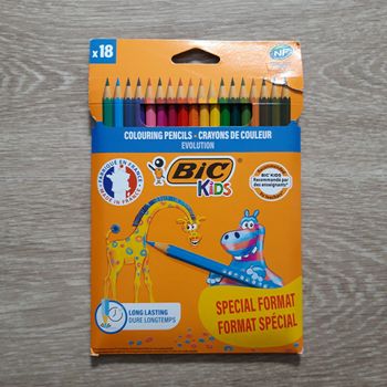 Lot de 18 crayons de couleur Bic Kids NEUF