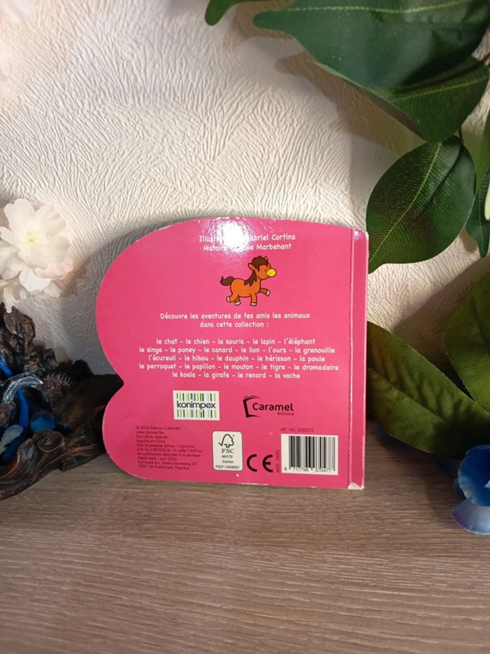 Polo le Poney 🐴 - photo numéro 3