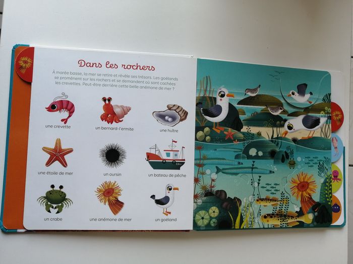 mon imagier à flaps - livre enfant - photo numéro 4