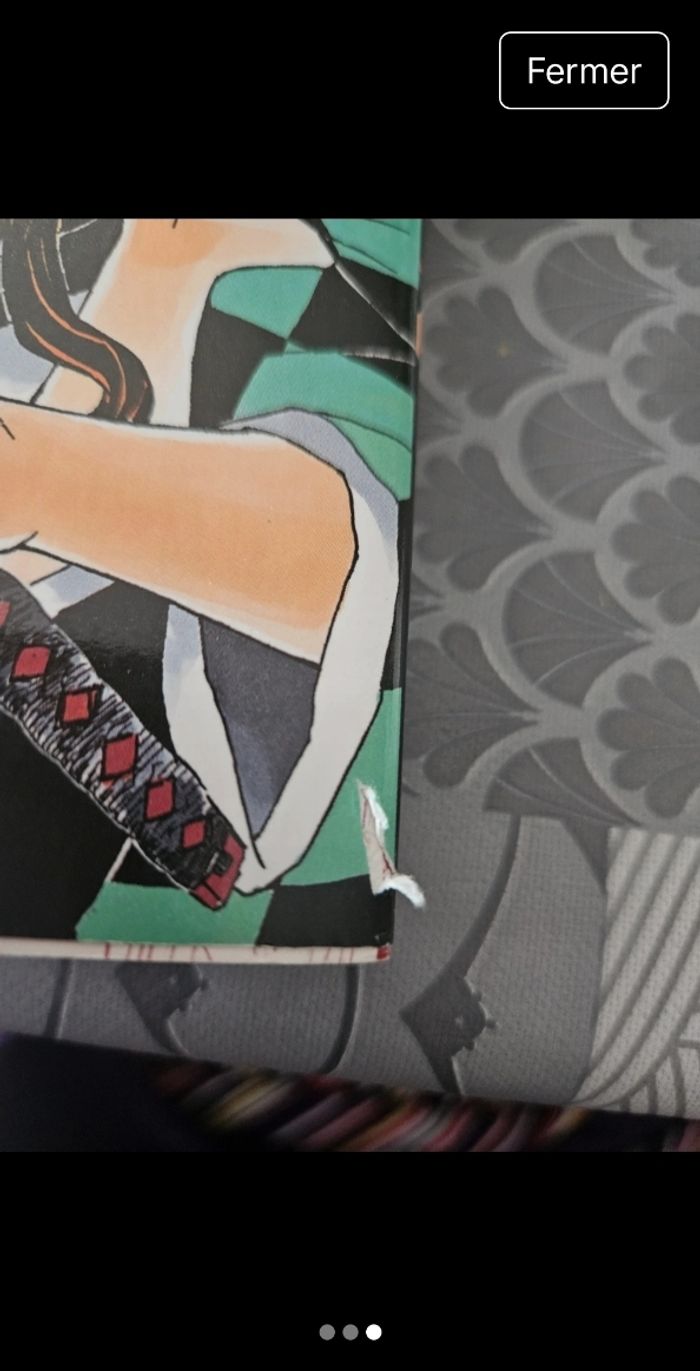 Lot Manga demon slayer T1 et T2 - photo numéro 3