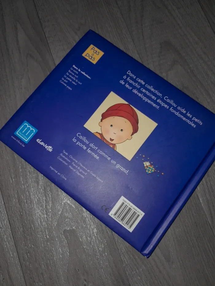 Livre caillou - photo numéro 3