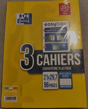 lot de 3 cahiers 21*29.3 96 p gd carreaux easybook