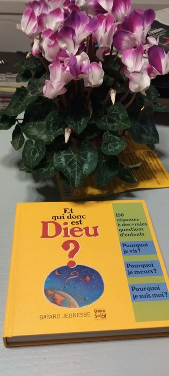 Et qui donc est Dieu ? - photo numéro 6