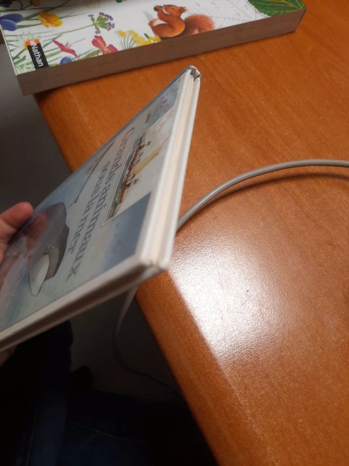 Livre découverte Benjamin - photo numéro 5