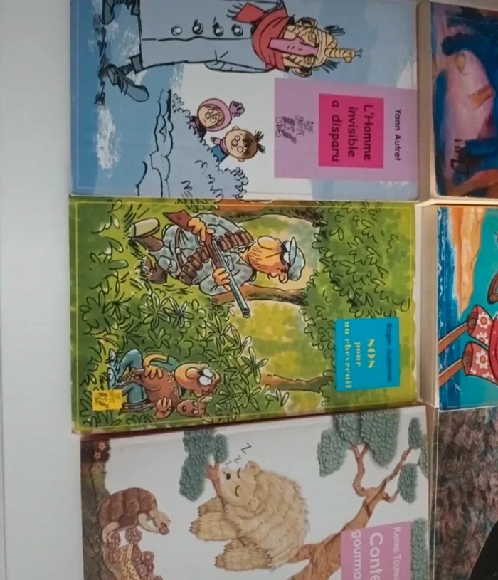 Livres pour enfants , romans jeunesse - photo numéro 2