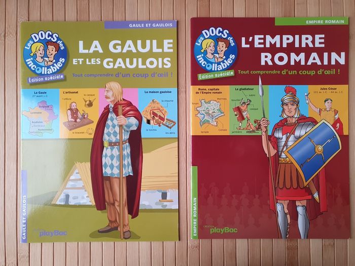 Lot de 13 livres "Les Docs des Incollables" - photo numéro 3