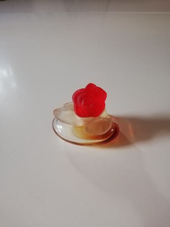 Miniature collection pupa florilu