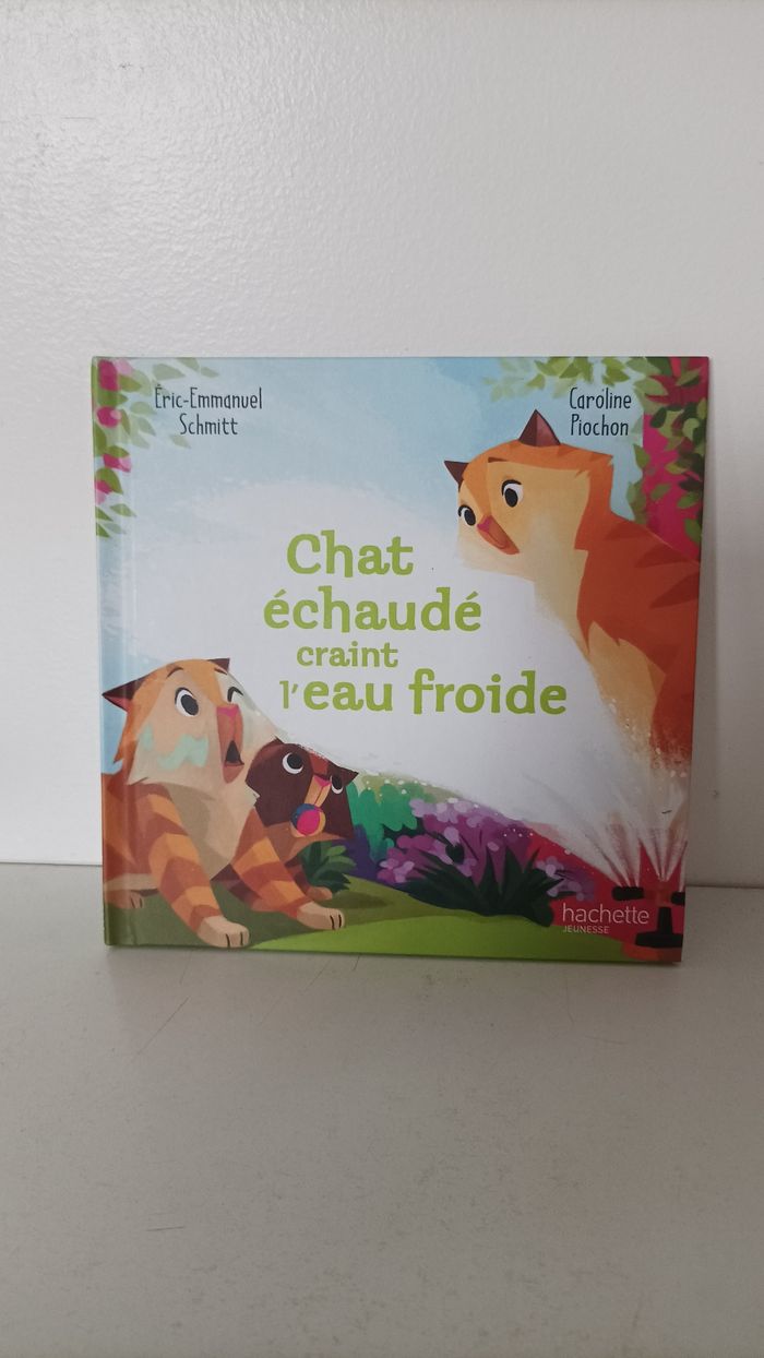 Livre pour enfant "Chat échaudé craint l'eau froide"