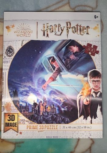 Puzzle 3D Harry Potter - 300 pièces - Image en relief - 31x46 cm