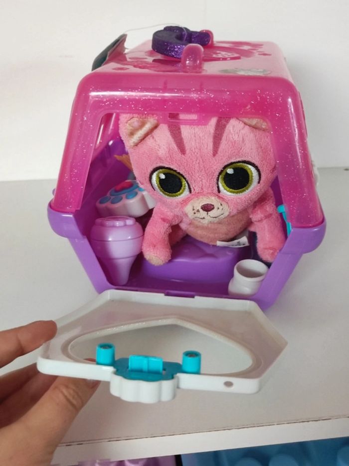 chat à soigner - photo numéro 11