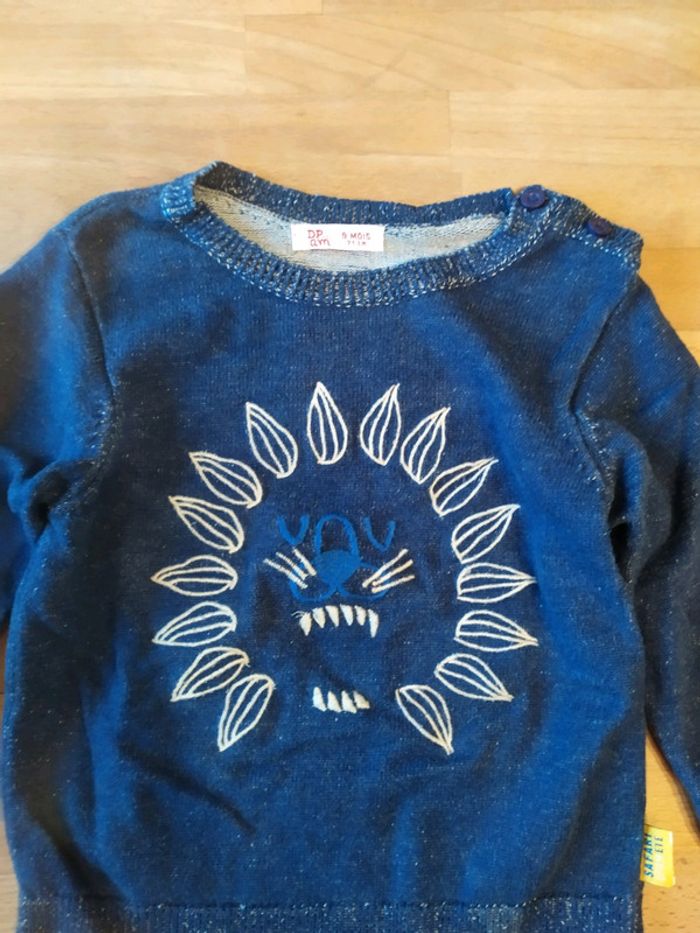 Pull lion 9mois dpam - photo numéro 2