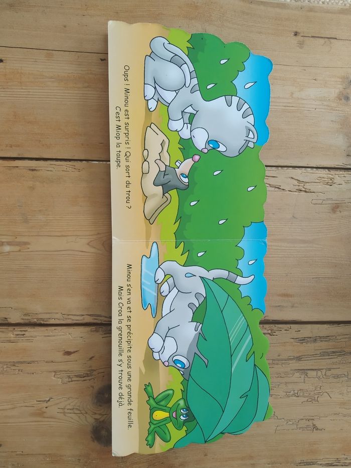 Livre - photo numéro 3