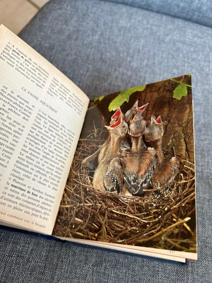 Petit livre Le guide des connaissances 50/59 1971 - photo numéro 4