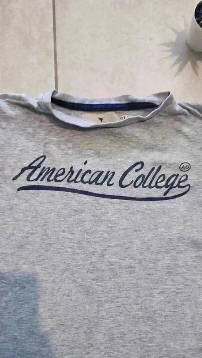 T-shirt manches courtes gris American College 12 ans | Look tendance ! - photo numéro 2
