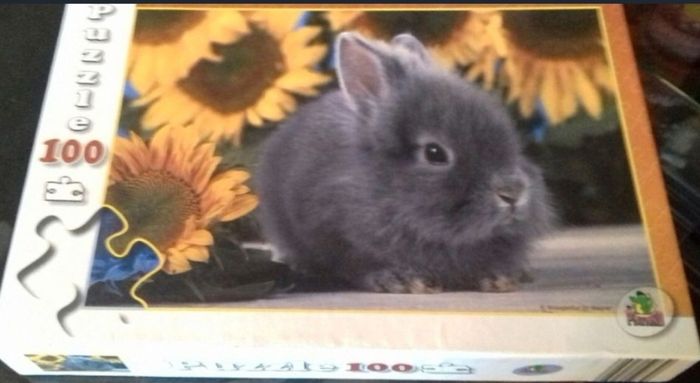 Puzzle vintage petit lapin 🐰 et tournesols 🌻 100 pièces Playland