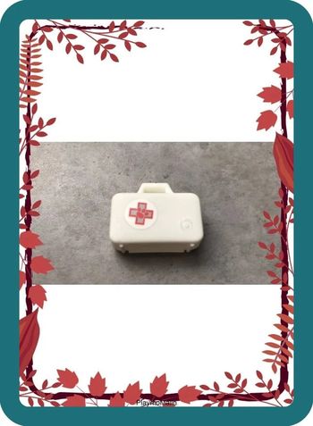 Valise vétérinaire playmobil