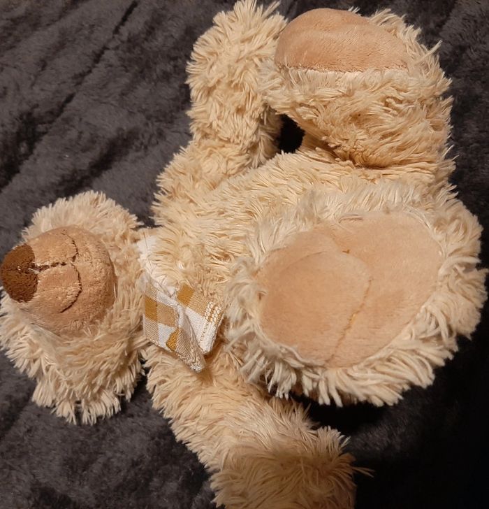 Peluche ours - photo numéro 2