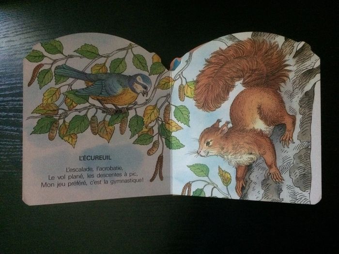 Livres cartonnées animaux - photo numéro 4