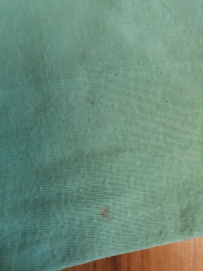 tee shirt menthe orchestra 2 ans - photo numéro 4