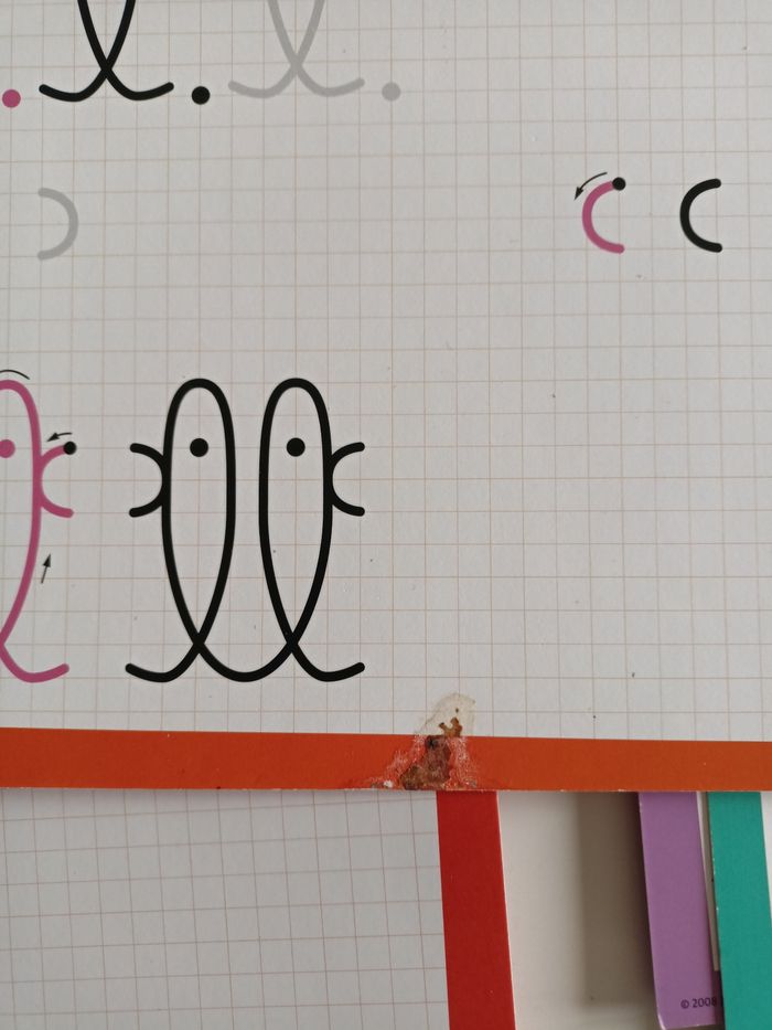 Mon atelier écriture ravensburger - photo numéro 6