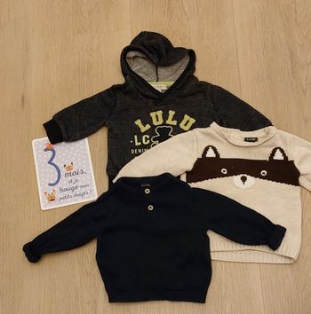 Pull et sweat lot 3 mois