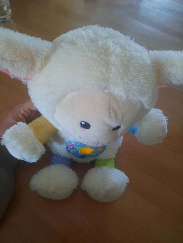 Mon mouton - photo numéro 5