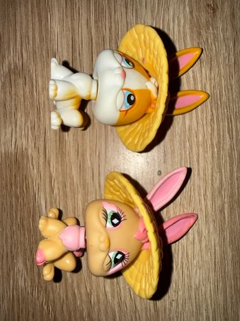 Petshop lapins 